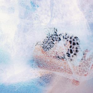 美女内裤㊙️露出奶头的网站
