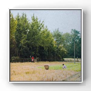 美女内裤㊙️露出奶头的网站
